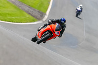 PJ-Motorsport-Photography-2020;anglesey;brands-hatch;cadwell-park;croft;donington-park;enduro-digital-images;event-digital-images;eventdigitalimages;mallory;no-limits;oulton-park;peter-wileman-photography;racing-digital-images;silverstone;snetterton;trackday-digital-images;trackday-photos;vmcc-banbury-run;welsh-2-day-enduro